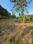 1200 Sqm Residential Plot for Sale in Madale Mbopo - 3