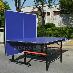 Professional Table Tennis Table | Ping Pong Table
