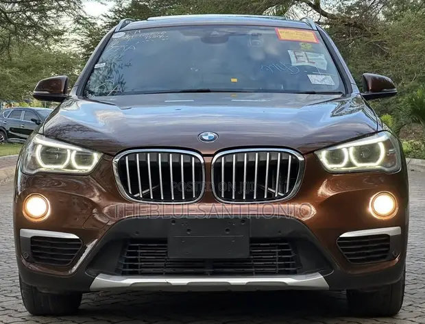 BMW X1 2017 Brown - 1