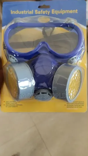 Double Filter Safety Mask