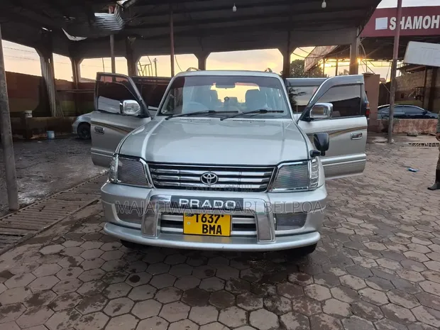 Toyota Land Cruiser Prado 2007 Silver - 1