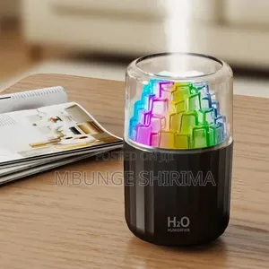 H2O Humidifier - Black & White