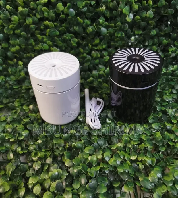 Car Humidifier Diffuser - 1