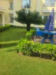 Furnished 3 Bedroom Apartment in Masaki for Rent - 4