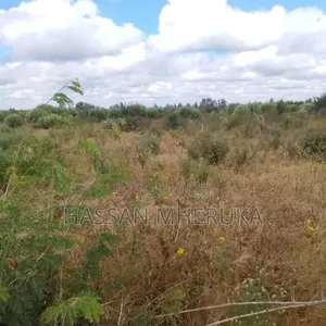 Farmland for Sale in Chalinze Msorwa