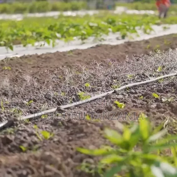 Micro Irrigation Hose - 1