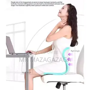 Ergonomic Back Support Cushion for Office