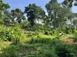 Eneo la Hekta 3.8 kwa Uwekezaji Arusha Sangara - 1