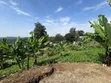 Eneo la Hekta 3.8 kwa Uwekezaji Arusha Sangara - 2