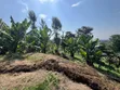 Eneo la Hekta 3.8 kwa Uwekezaji Arusha Sangara - 4