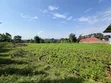 Eneo la Hekta 3.8 kwa Uwekezaji Arusha Sangara - 5
