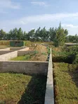 1178sqm Plot with 4-Bedroom Foundation in Ngaramtoni - 3