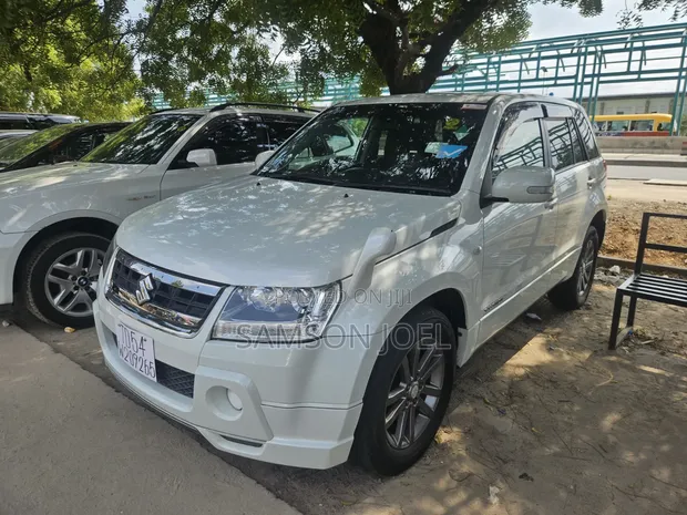 Suzuki Escudo 2008 White - 1