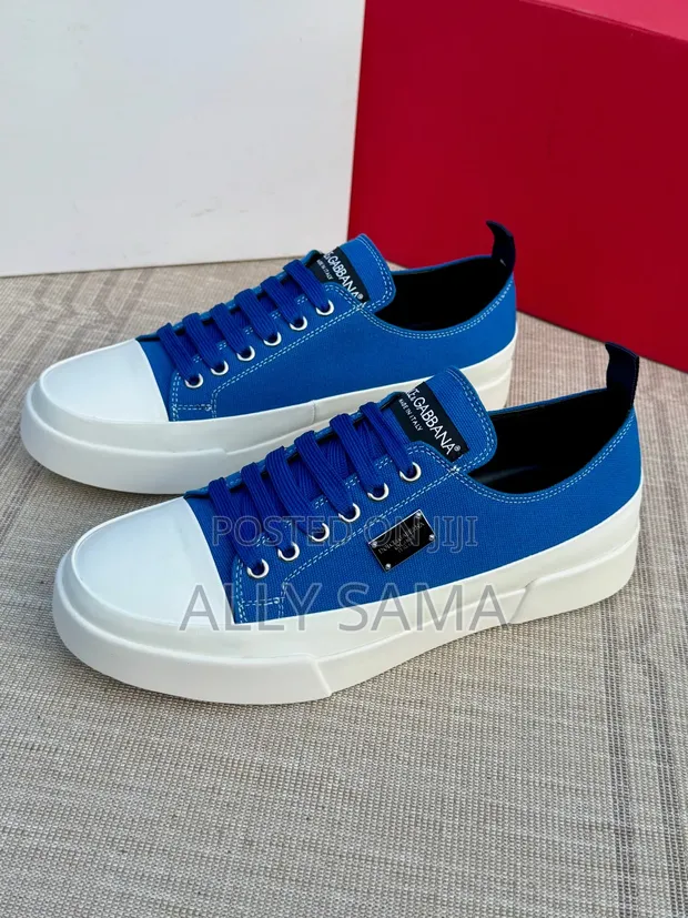 Viatu vya Mchezo vya Dolce & Gabbana vya Wanaume vya Kahawa - 1