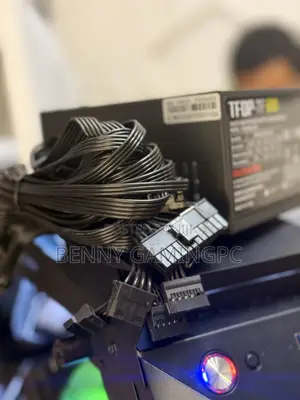 BizLink 600W Power Supply