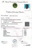 Revenue Assurance and HR Administration Professional - 2