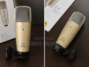 Behringer C-1 Studio Condenser Microphone