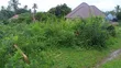 Prime Plot for Sale - Oyster Bay - 3