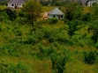 Prime Plot for Sale - Oyster Bay - 4