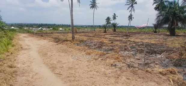 Land for Sale in Chanika Mvuti - TZS 1,500,000 - 1
