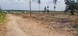 Land for Sale in Chanika Mvuti - TZS 1,500,000 - 1
