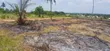 Land for Sale in Chanika Mvuti - TZS 1,500,000 - 2