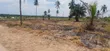 Land for Sale in Chanika Mvuti - TZS 1,500,000 - 4