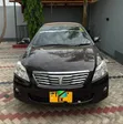 Toyota Premio 2009 Maroon - 1