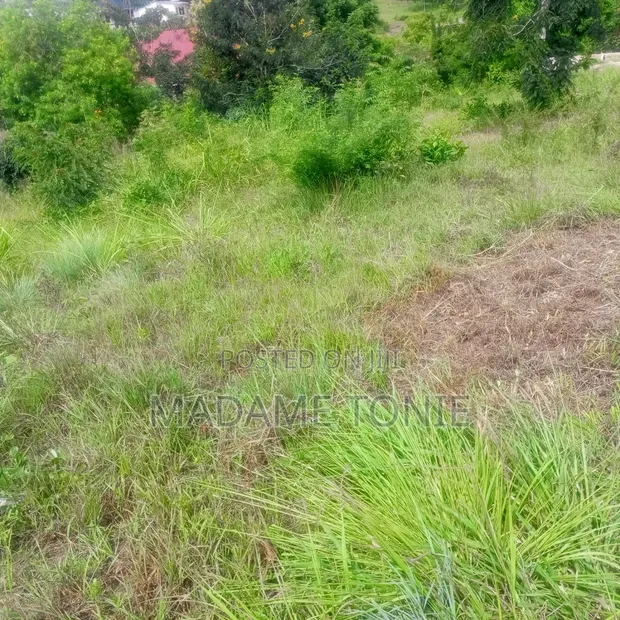 Kibaha Land for Sale - 20x20 Plots - 1