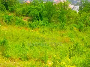 Kibaha Land for Sale - 20x20 Plots
