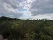 Eneo la Kilimo la Eka 30 Linauzwa, Kisarawe - 1