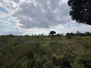 30 Acres Farmland for Sale, Kisarawe