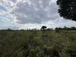 Eneo la Kilimo la Eka 30 Linauzwa, Kisarawe - 2