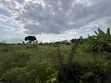 Eneo la Kilimo la Eka 30 Linauzwa, Kisarawe - 3