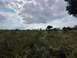 Eneo la Kilimo la Eka 30 Linauzwa, Kisarawe - 4