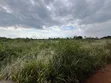 Eneo la Kilimo la Eka 30 Linauzwa, Kisarawe - 5