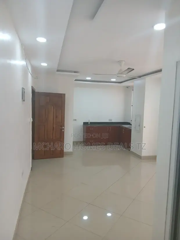 1-Bedroom Apartment for Rent in Mcharo Homes TZ, Temeke - 1