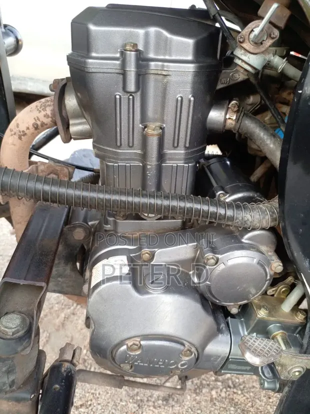 Bajaj Avenger 200 2025 Green - 1