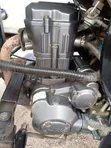 Bajaj Avenger 200 2025 Green - 1