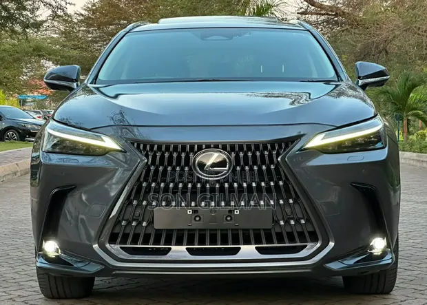Lexus NX 450h+ F-Sport 2022 - 1