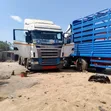 Scania 124 Horse Truck - 2002 - 1