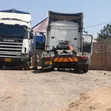 Scania 124 Horse Truck - 2002 - 5