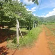 Plot for Sale in Pangawe, Morogoro Mjini - 3