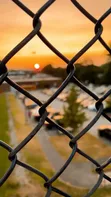 Fencing Services: Boundary Fencing & Construction - 3