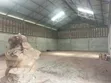 Ghala la SQM 300 kwa Ajili ya Kukodisha Tabata - 2