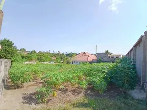 Plot for Sale in Kinyerezi, Ditopile Area