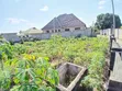 Plot for Sale in Kinyerezi, Ditopile Area - 4