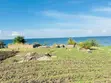 Kiwanja cha Beach Kinauzwa Kayenze - Sangabuye - 4