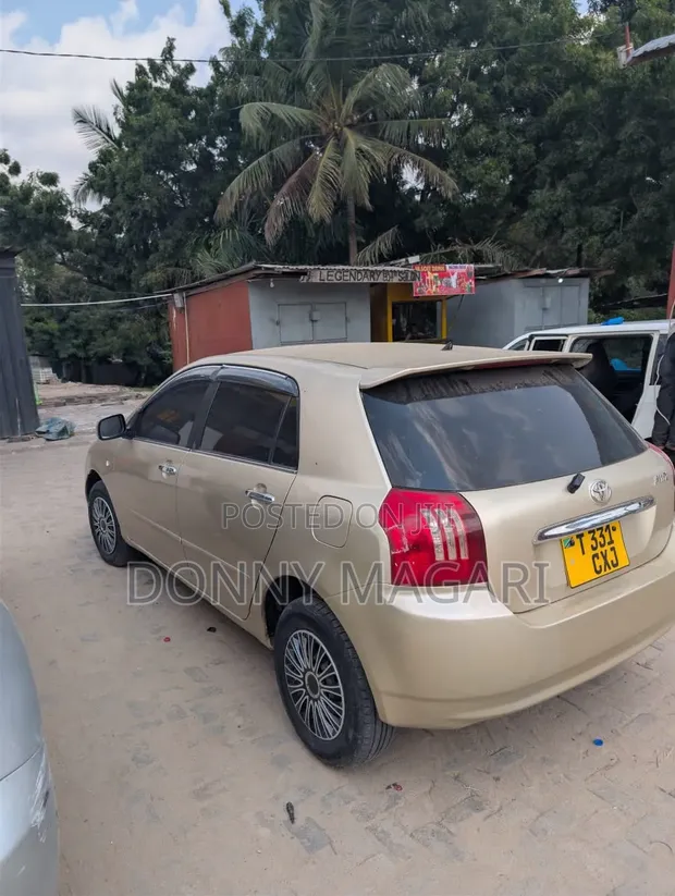 Toyota Corolla RunX 2007 Gold - 1