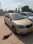 Toyota Corolla RunX 2007 Gold - 2